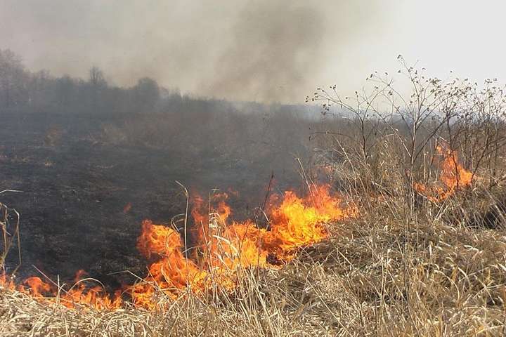 На Закарпатті пенсіонерка згоріла під час спалювання сухої трави