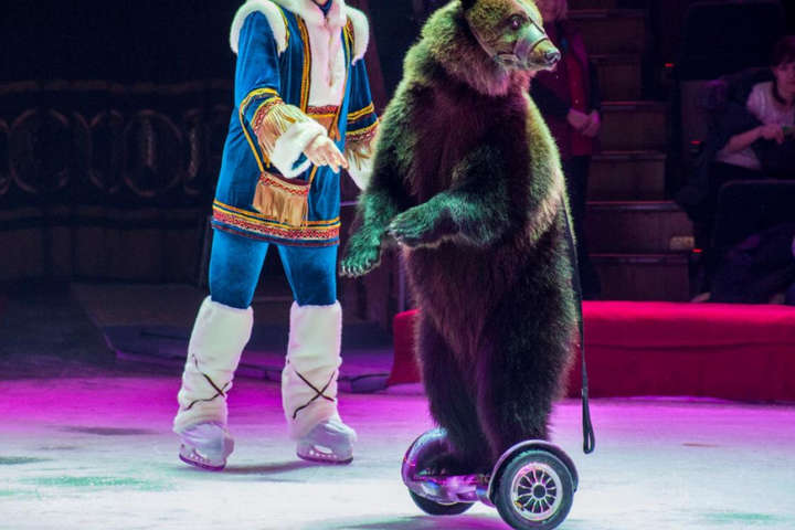 Екологічна інспекція: Одеський цирк незаконно експлуатує ведмедів