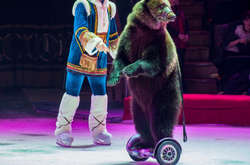 Екологічна інспекція: Одеський цирк незаконно експлуатує ведмедів