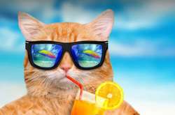 Спека в Україні: у четвер прогнозують до +36 градусів