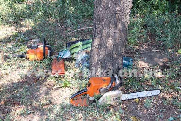 На Дніпропетровщині під час розпилювання дерева загинув комунальник 