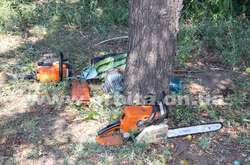 На Дніпропетровщині під час розпилювання дерева загинув комунальник 