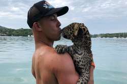 Экстремальный отдых: Курорт, где можно искупаться с пантерой и ягуаром в океане