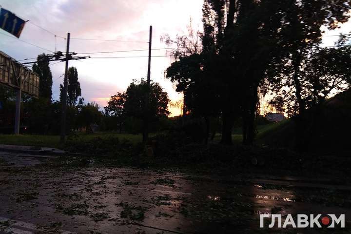 Наслідки грози в Києві: повалені дерева зупинили тролейбуси (фото)