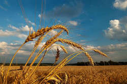 У суботу на заході України обіцяють грози і шквали, на сході - сухо