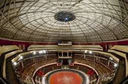 Посадовці заборонили використовувати ведмедів в Одеському цирку