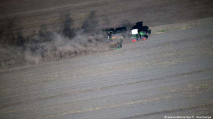 У Німеччині фермери втратили від посухи майже 3 млрд євро