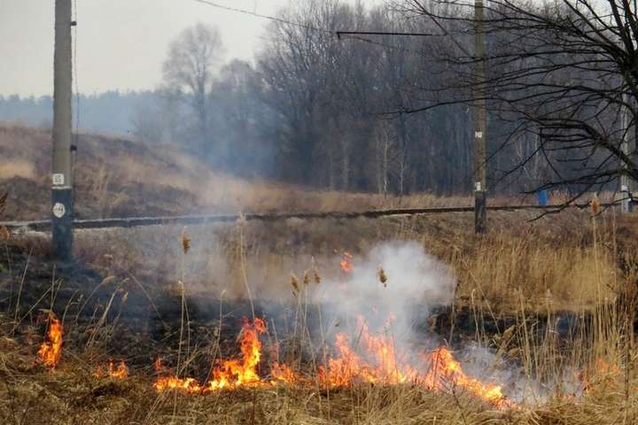 У Харківській області жінка згоріла заживо під час спалювання сухостою