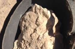 У єгипетській гробниці знайшли сир віком понад 3 тисячі років