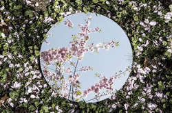 Себастьян Магнан