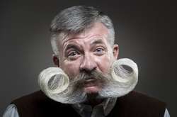 Конкурс бородачей и усачей в Великобритании. Фотогалерея