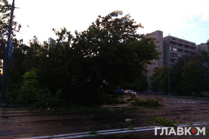 Наслідки зливи у Києві: повалено 300 і пошкоджено 500 дерев
