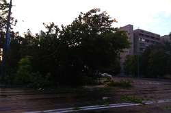 Наслідки зливи у Києві: повалено 300 і пошкоджено 500 дерев