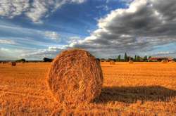 В Україні на кілька днів похолодає, але на півдні збережеться спека