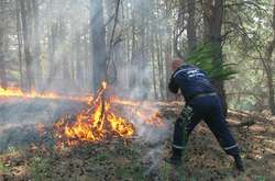 У Києві оголошено надзвичайний рівень пожежної небезпеки