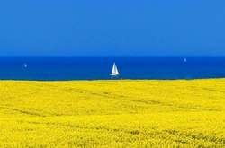 Погода в Україні: спека і грози 