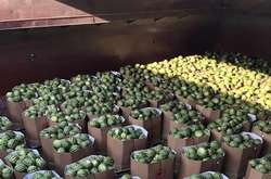 Баржа з херсонськими кавунами прямує до Києва (фото)