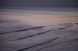 «Хокку, снятые на камеру». Невероятные фотографии японки Ринко Каваучи