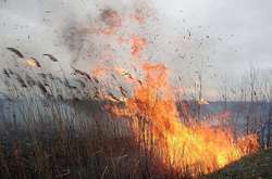 Рятувальники попереджають про надзвичайний рівень пожежної небезпеки