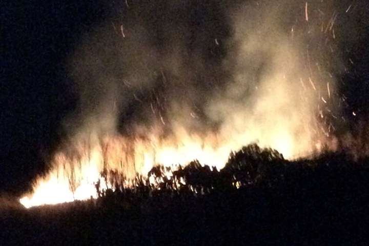 Невідомі на Одещині підпалили виноградники французького інвестора (фото)