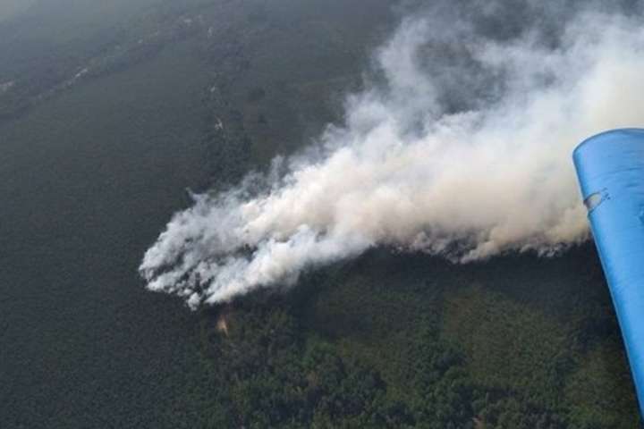 У Білорусі другий день горять заповідні Ольманські болота