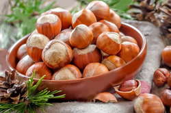 В Україні з’явився перший офіційний розсадник фундука