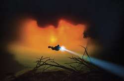 Под водой: Опубликованы лучшие снимки фотоконкурса Through Your Lens