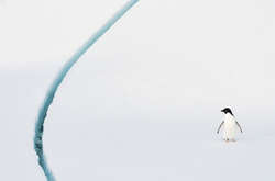 Чарующие красоты Антарктики на снимках победителей конкурса The Annual Antarctic Photography Exhibition 