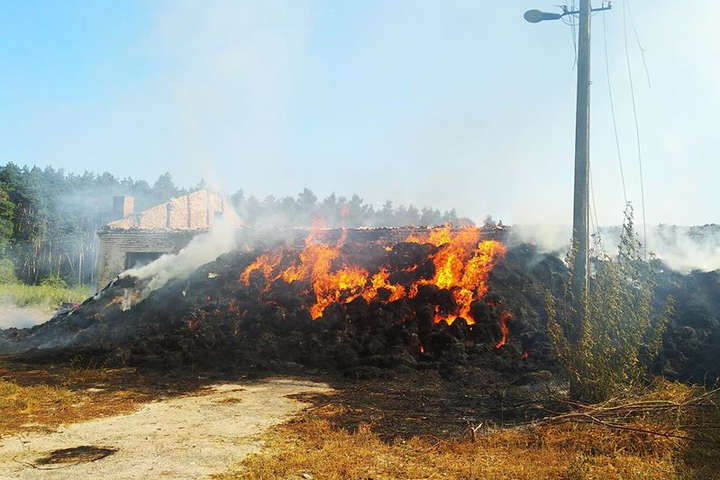 На тваринницькій фермі у Київській області сталася велика пожежа (фото)