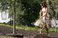 Меланія Трамп у відвертому топі посадила дуб біля Білого дому. Фотогалерея