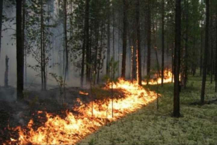 На Київщині оголошено надзвичайний рівень пожежної небезпеки