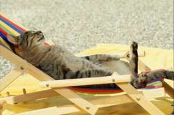 Перший день осені в Україні: буде тепло, сонячно, на півдні - спекотно