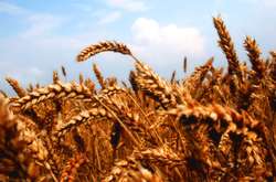 Зокрема, встановлено тарифи на обстеження посівів сільськогосподарських культур