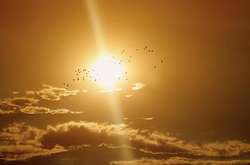 В Україні сьогодні без опадів, місцями спека до +34°