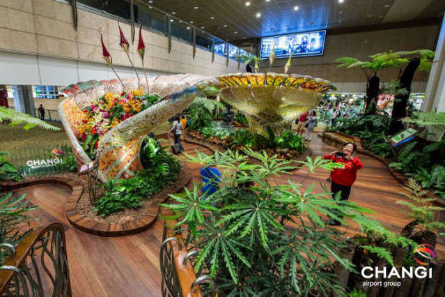 Як виглядає сінгапурський аеропорт Чангі - переможець конкурсу «Кращий аеропорт світу» (фото)