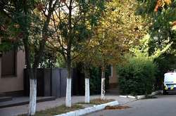 Невідомі вночі намагалися підпалити будинок екс-мера міста Рені