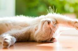 Синоптик розповіла, коли прийде похолодання у Київ