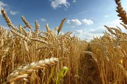 У вівторок в Україні збережеться спекотна погода 