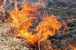 Киян попереджають про надзвичайний рівень пожежної небезпеки