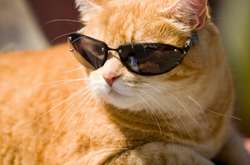 В Киеве лето 2018 года стало одним из самых жарких в истории наблюдений