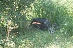 Під Києвом жінка з собакою виявила валізу з розчленованим тілом