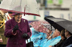 большая коллекция зонтов