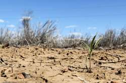 В Харьковской области – рекордная засуха