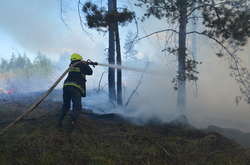 Більше сотні рятувальників гасили 20 га лісової підстилки на Харківщині