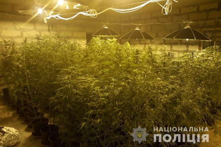 Поліція вилучила у наркодилерів на Київщині коноплі на 8 млн гривень