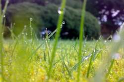 В Україну йдуть дощі з грозами, але буде тепло 