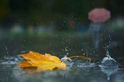 Погода стрімко змінюється: завтра в Україну прийдуть дощі з грозами 