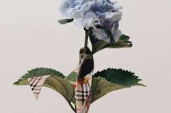 Экоосознаность в моде: Burberry больше не будут сжигать нераспроданную одежду