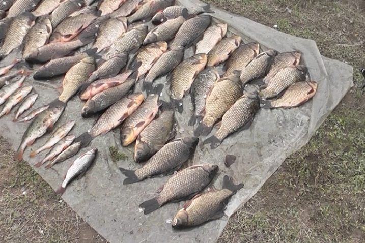 На Київщині затримано браконьєра, який виловив риби на 26 тис. грн
