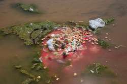 В Боливии из-за человеческой деятельности исчезает гигантское озеро